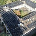 Solarsedum Universiteit Leiden